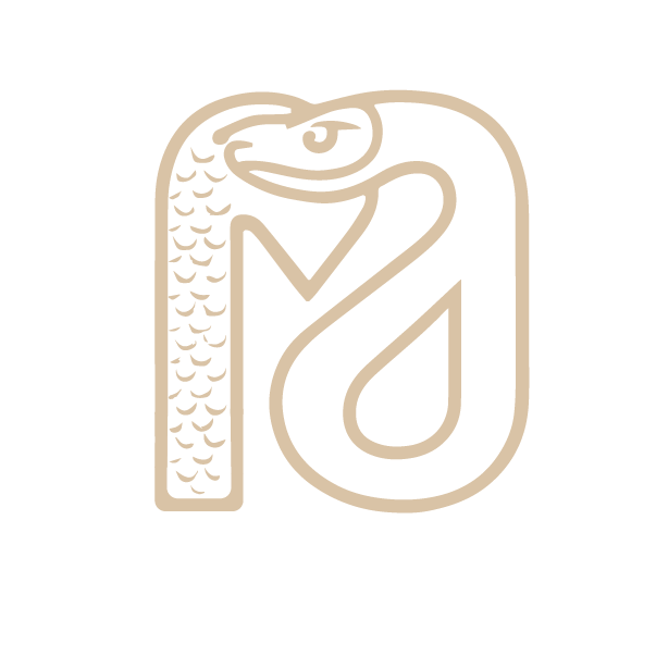 Medusa Logo